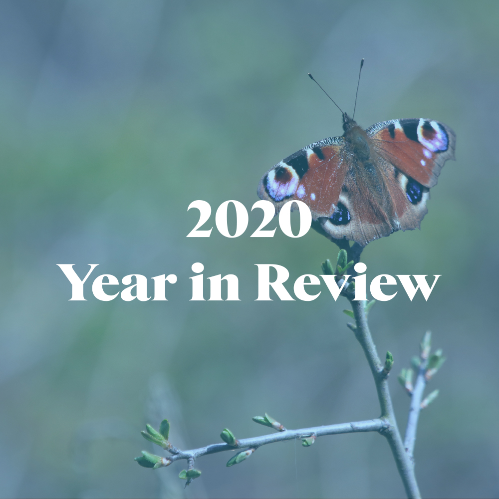 Alconbury Weald: 2020 Year in Review